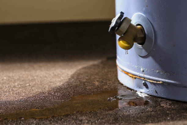 Best Carpet water damage restoration  in Wrightsboro, NC