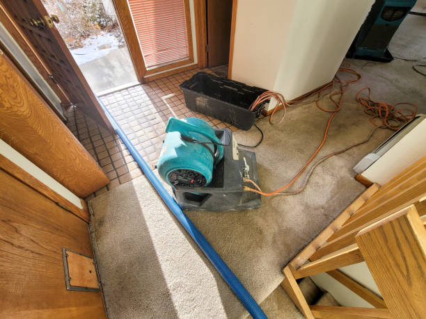 Water damage restoration experts in Wrightsboro, NC