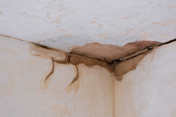 Best 24/7 water damage repair  in Wrightsboro, NC