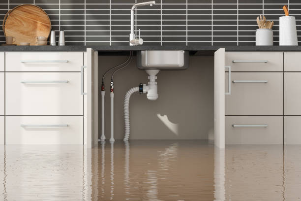 Best Water damage contractors near me  in Wrightsboro, NC