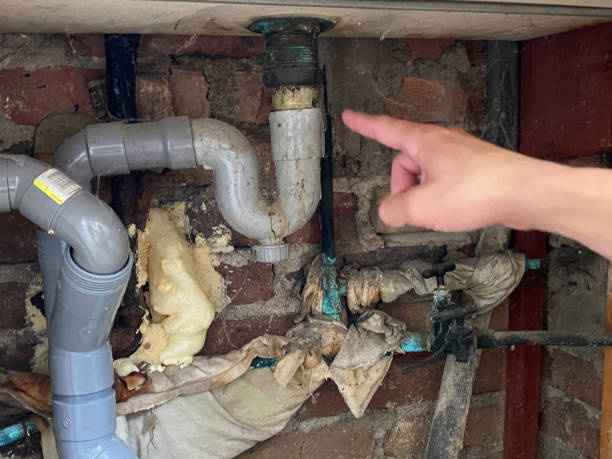 Best Professional water damage repair  in Wrightsboro, NC