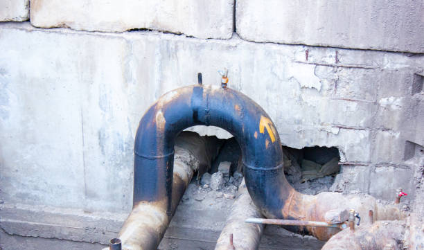 Best Mold removal after water damage  in Wrightsboro, NC