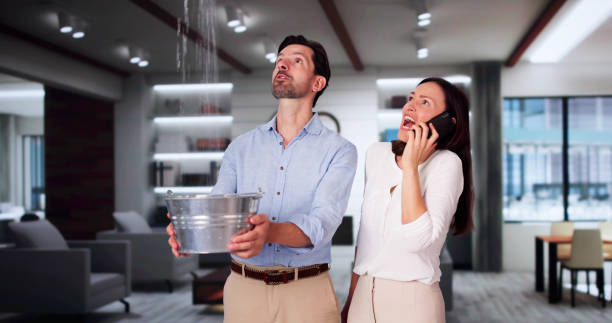 Best Flooded house restoration  in Wrightsboro, NC